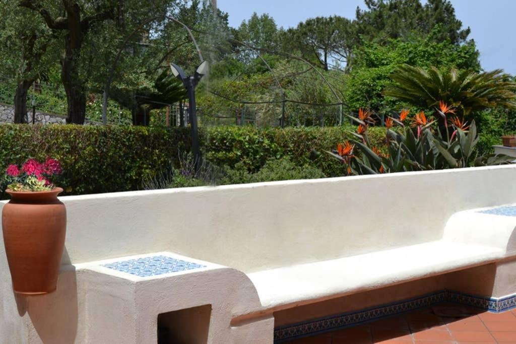 Casa Joyce Lejlighed Sorrento Eksteriør billede